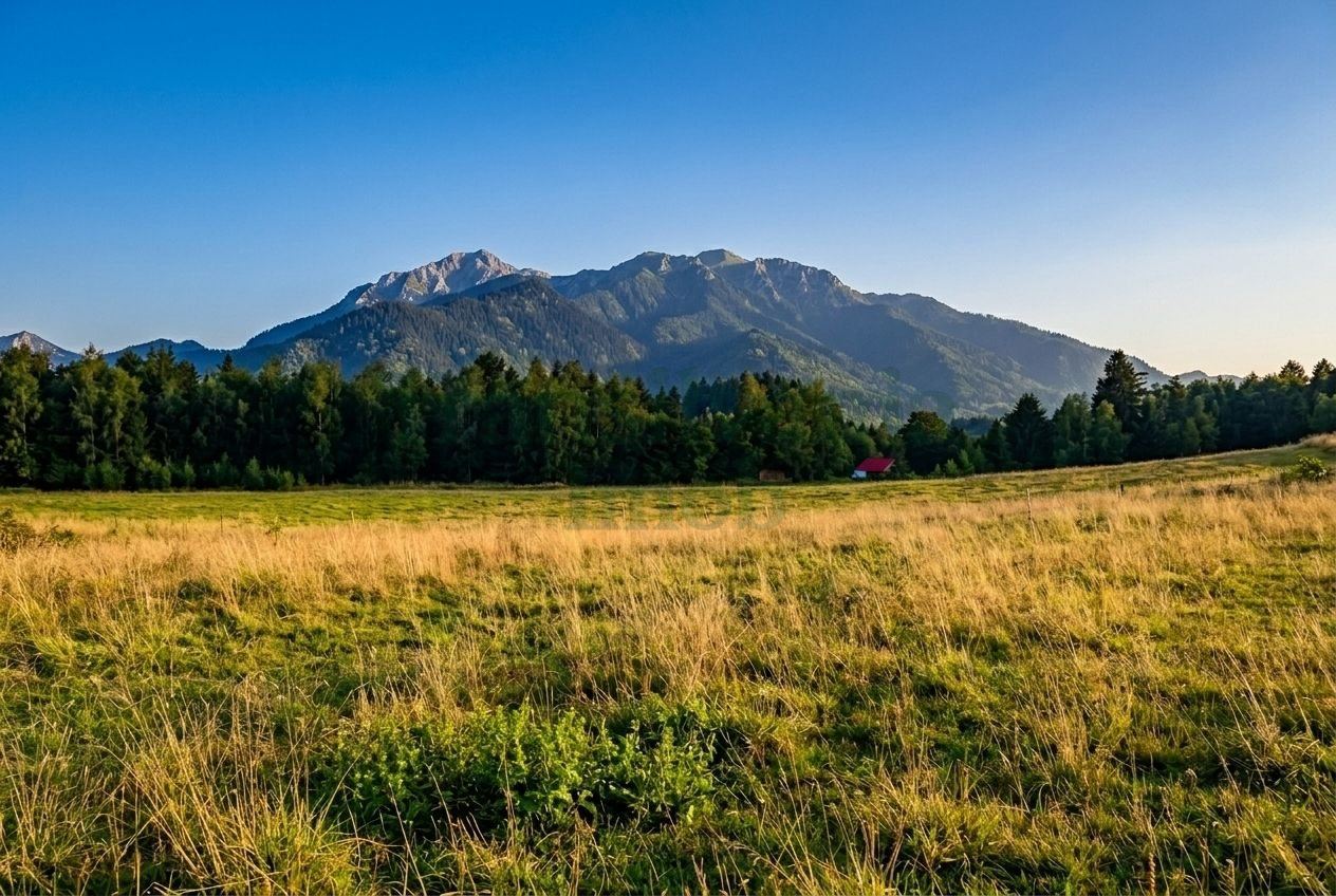 Teren de vânzare – Râșnov, zona Glejerie | 1.300 mp | Vedere spre Munții Bucegi miniatura 2