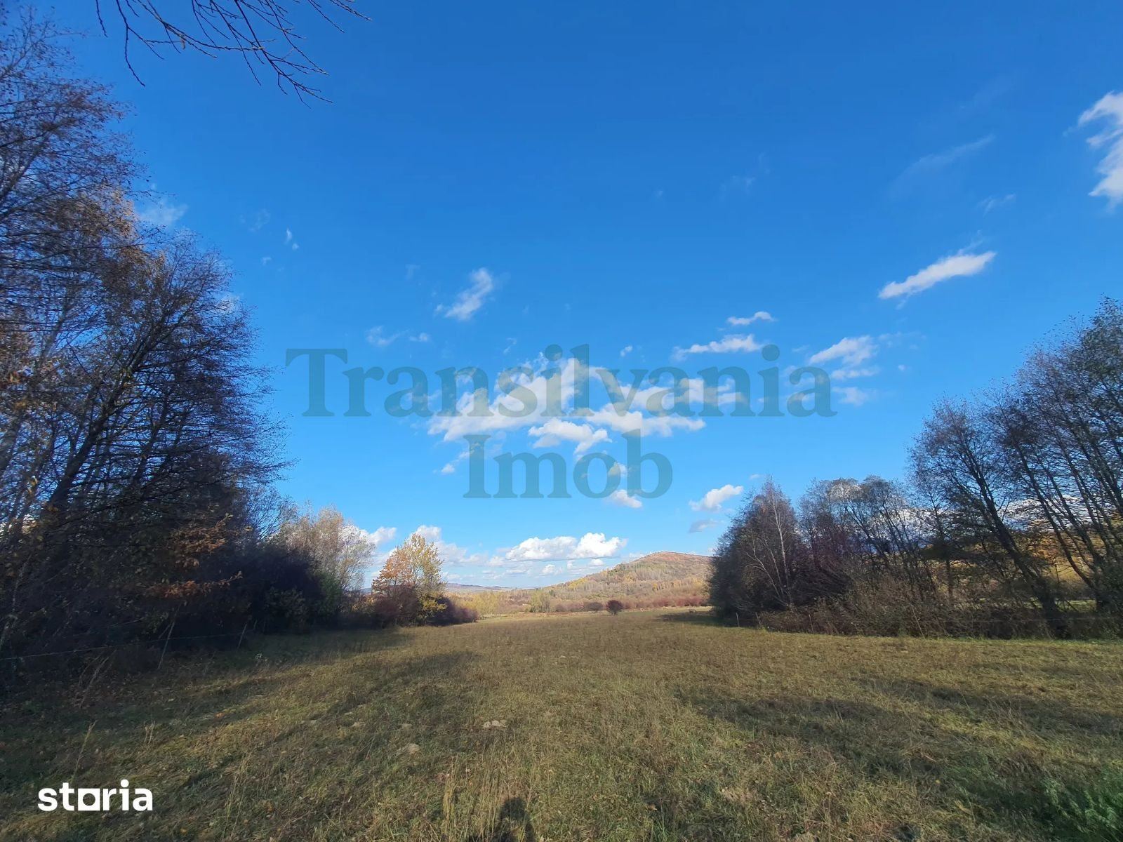 Teren 9.000 mp Bran – Tohănița | Intravilan | Deschidere 60 m | Vedere Panoramică la Munți miniatura 3