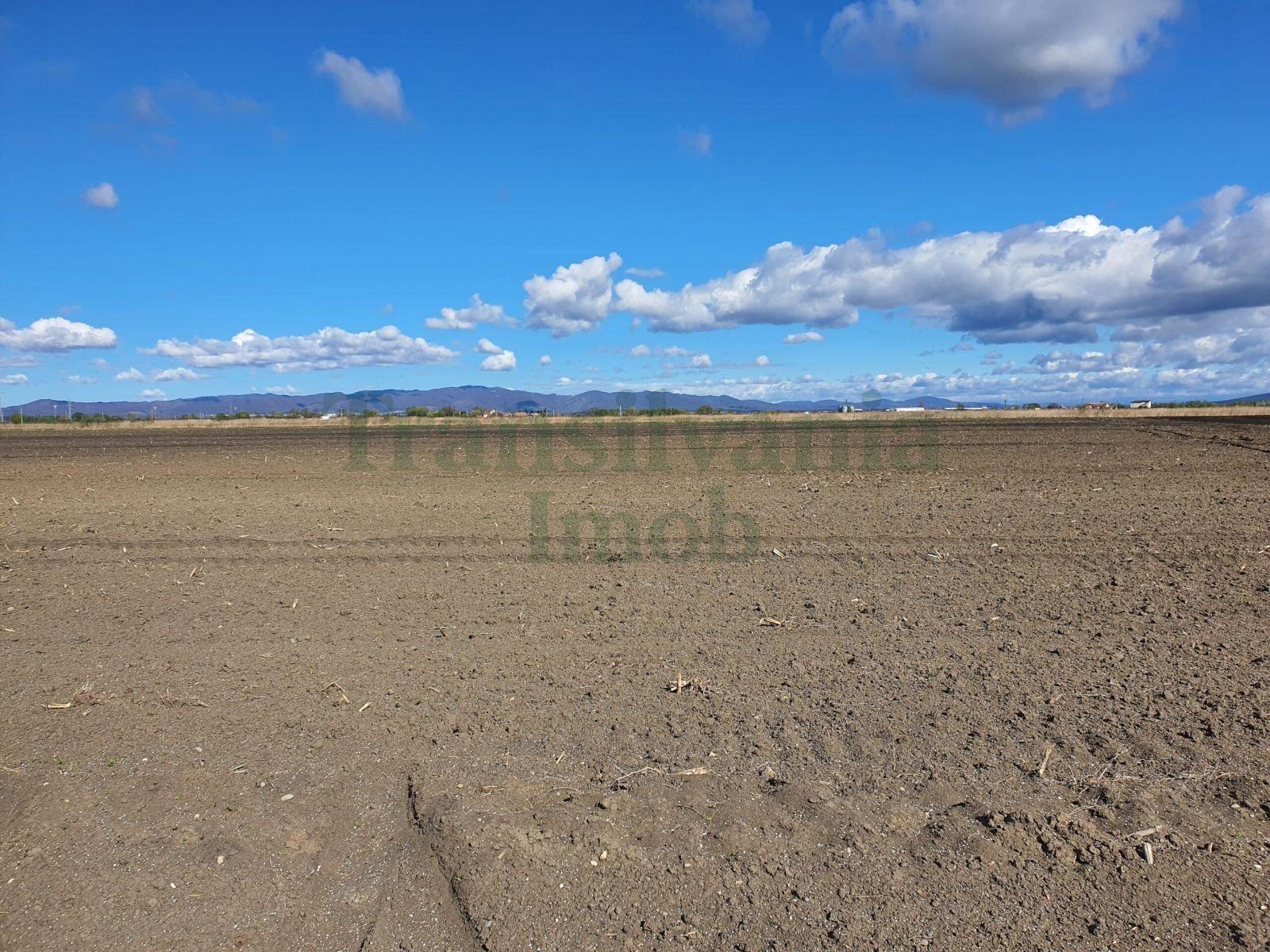Teren intravilan Industrial Brasov zona Calea Fedioarei DN13 / E60 150.000mp